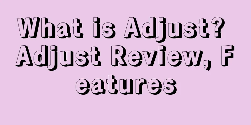 What is Adjust? Adjust Review, Features