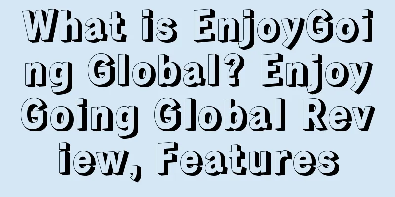 What is EnjoyGoing Global? EnjoyGoing Global Review, Features