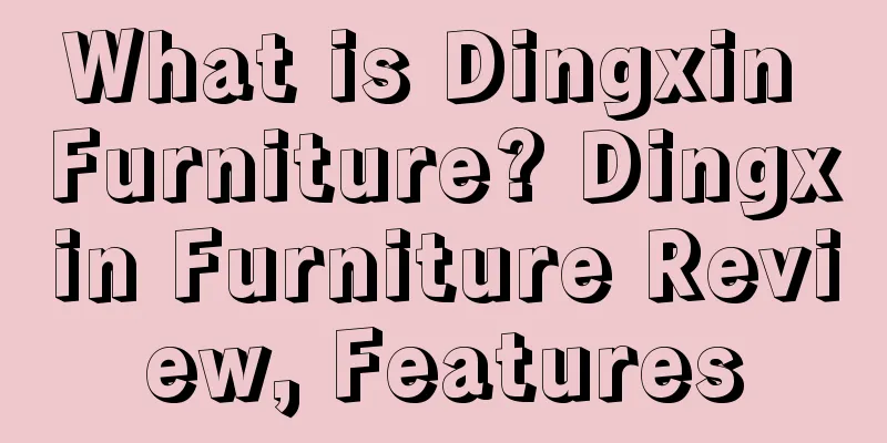 What is Dingxin Furniture? Dingxin Furniture Review, Features