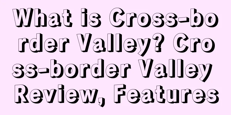 What is Cross-border Valley? Cross-border Valley Review, Features