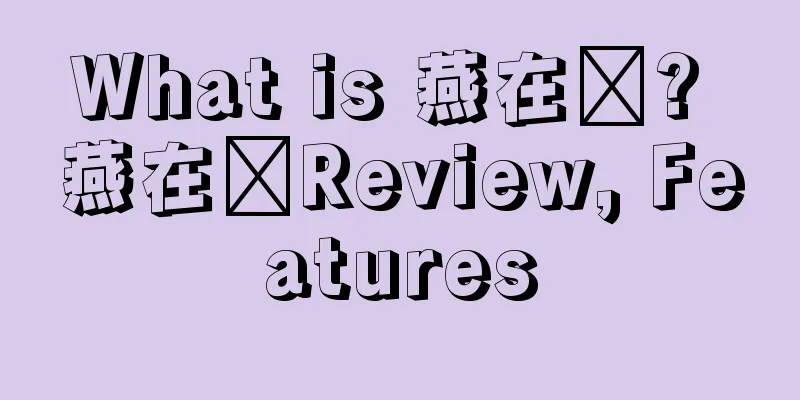 What is 燕在飞? 燕在飞Review, Features