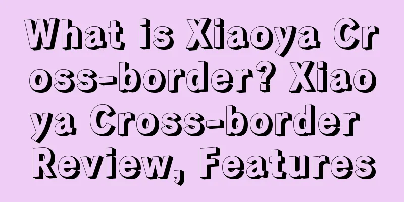 What is Xiaoya Cross-border? Xiaoya Cross-border Review, Features