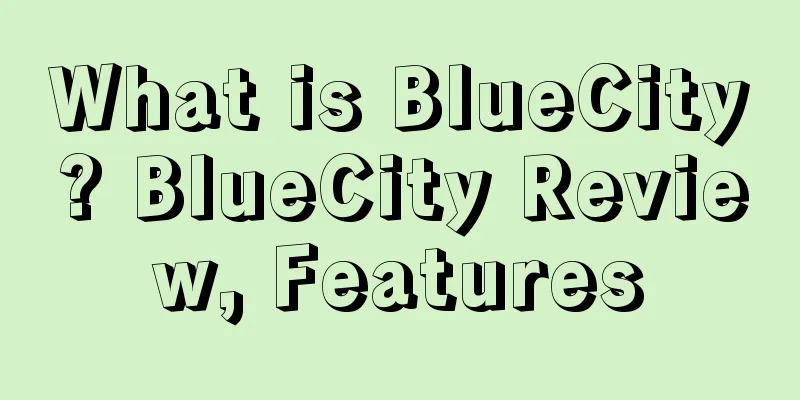 What is BlueCity? BlueCity Review, Features