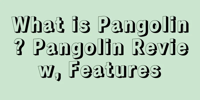 What is Pangolin? Pangolin Review, Features