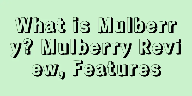 What is Mulberry? Mulberry Review, Features