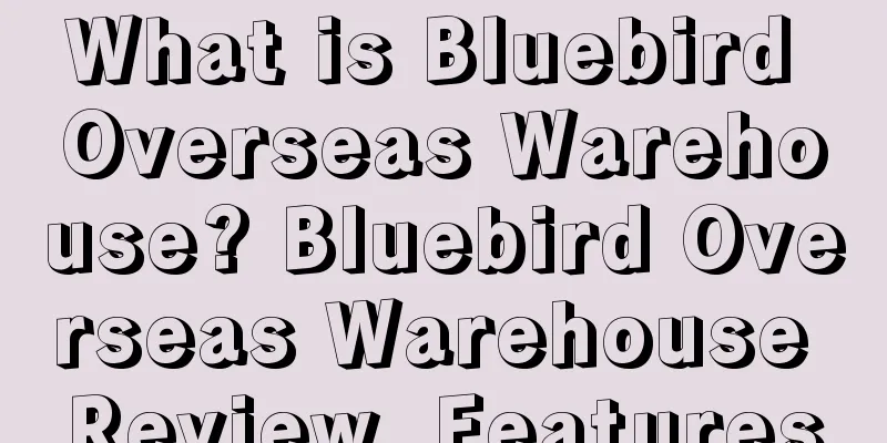 What is Bluebird Overseas Warehouse? Bluebird Overseas Warehouse Review, Features