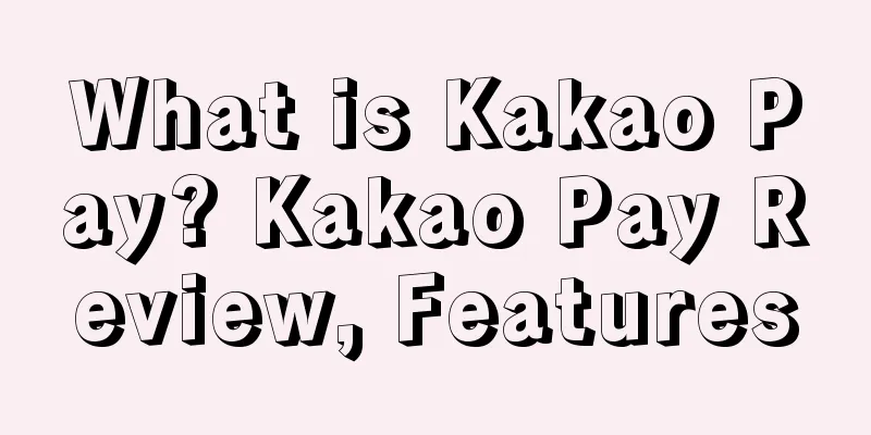 What is Kakao Pay? Kakao Pay Review, Features