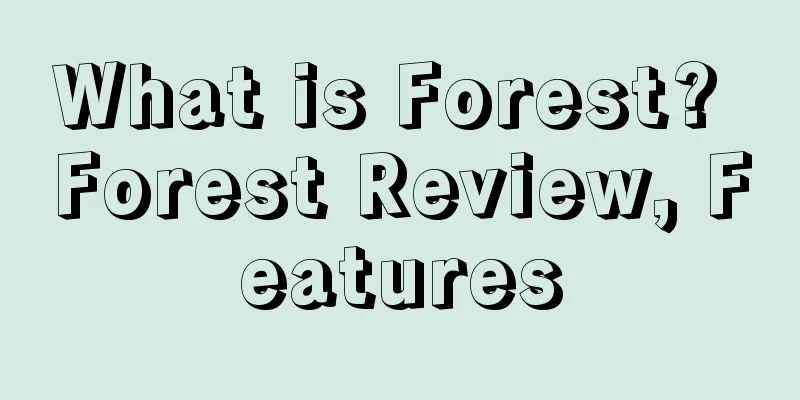 What is Forest? Forest Review, Features