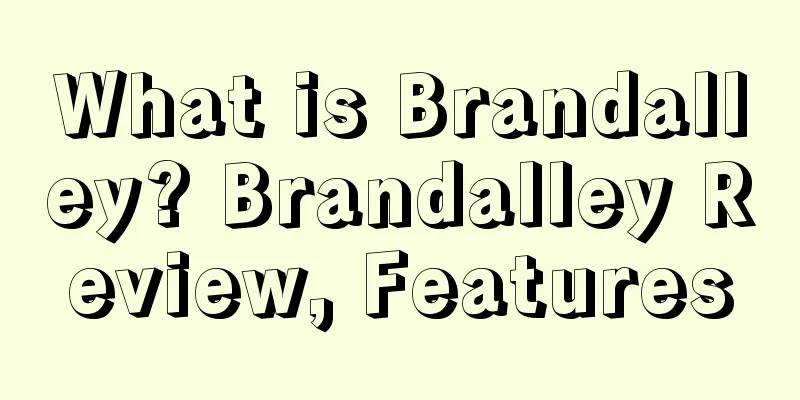 What is Brandalley? Brandalley Review, Features