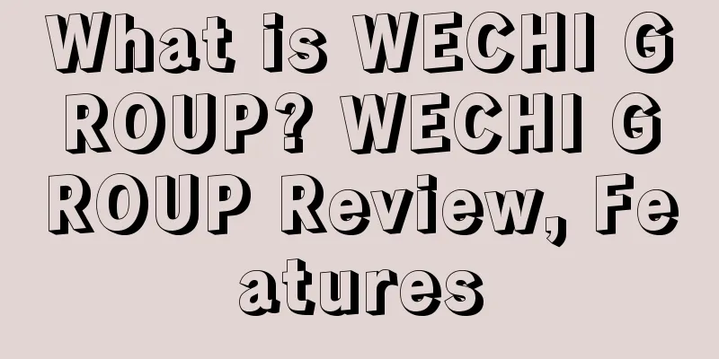What is WECHI GROUP? WECHI GROUP Review, Features