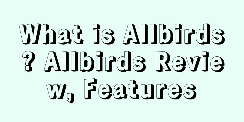 What is Allbirds? Allbirds Review, Features