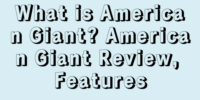 What is American Giant? American Giant Review, Features