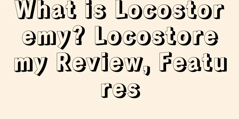 What is Locostoremy? Locostoremy Review, Features
