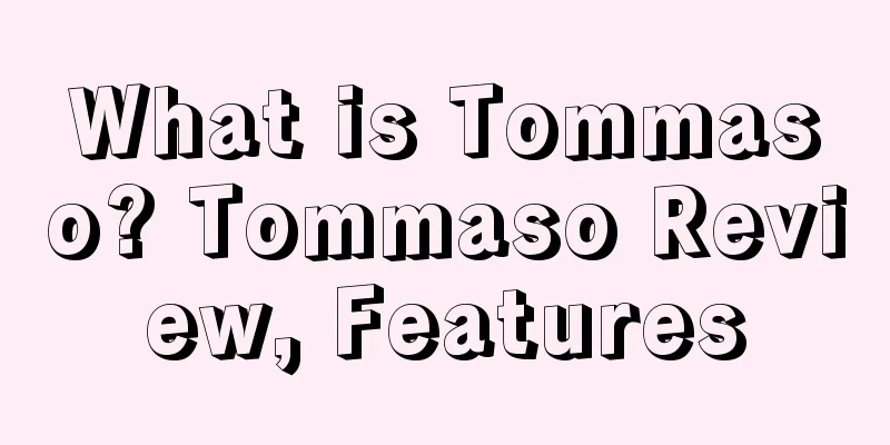 What is Tommaso? Tommaso Review, Features