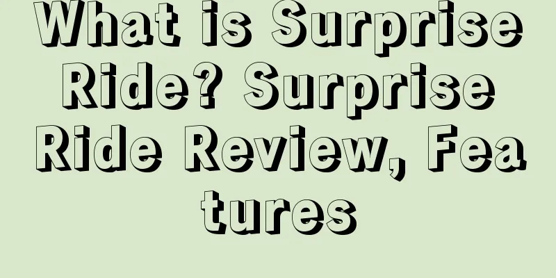 What is Surprise Ride? Surprise Ride Review, Features