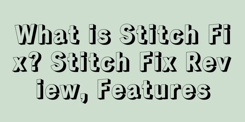 What is Stitch Fix? Stitch Fix Review, Features