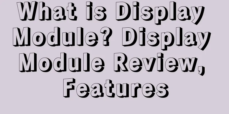 What is Display Module? Display Module Review, Features