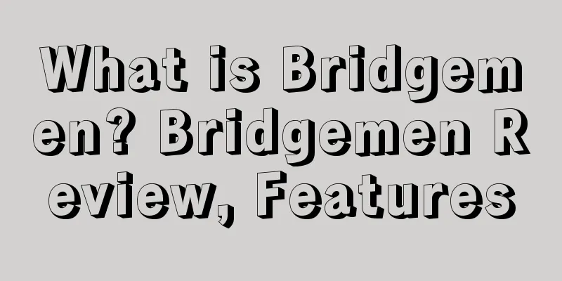 What is Bridgemen? Bridgemen Review, Features