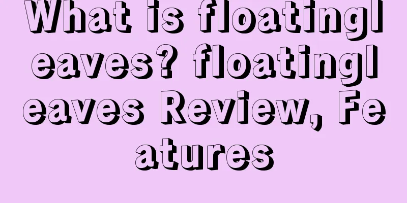 What is floatingleaves? floatingleaves Review, Features