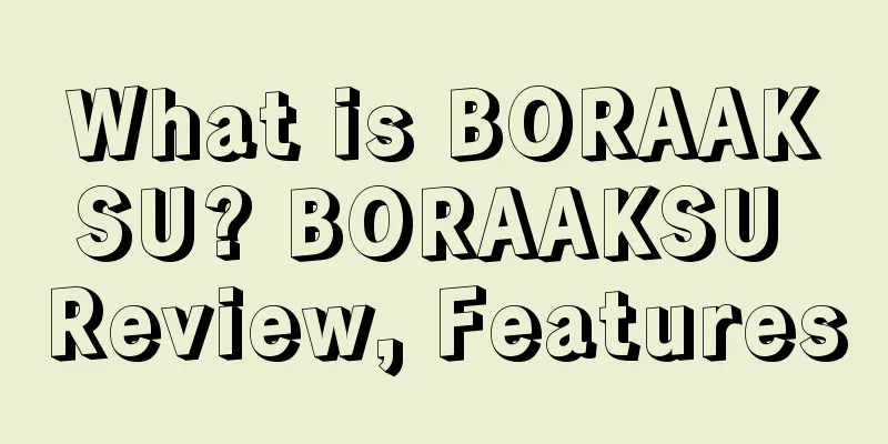 What is BORAAKSU? BORAAKSU Review, Features