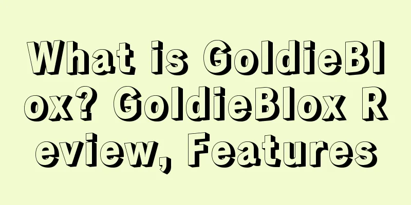 What is GoldieBlox? GoldieBlox Review, Features