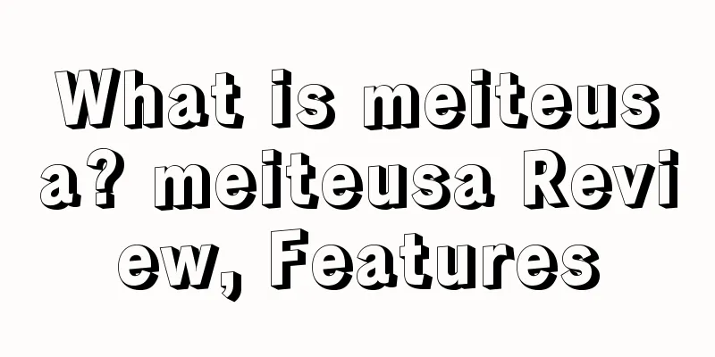 What is meiteusa? meiteusa Review, Features