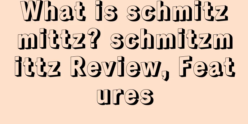 What is schmitzmittz? schmitzmittz Review, Features