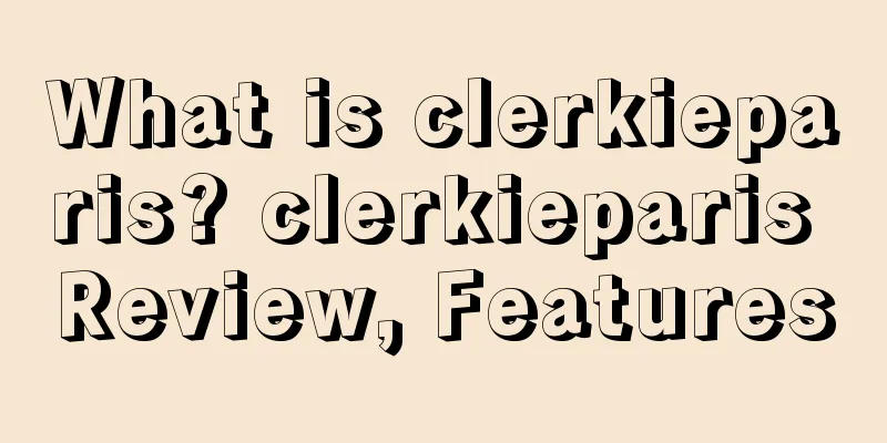 What is clerkieparis? clerkieparis Review, Features