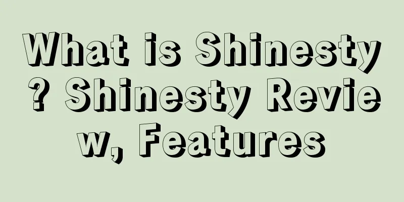 What is Shinesty? Shinesty Review, Features