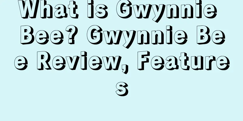 What is Gwynnie Bee? Gwynnie Bee Review, Features