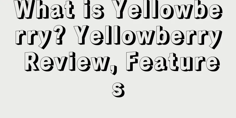 What is Yellowberry? Yellowberry Review, Features