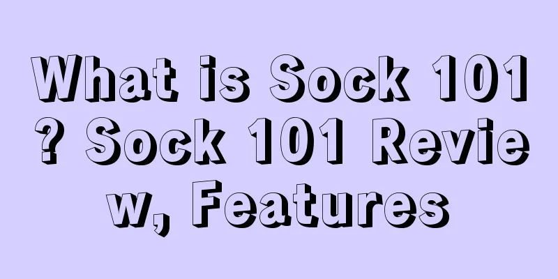 What is Sock 101? Sock 101 Review, Features