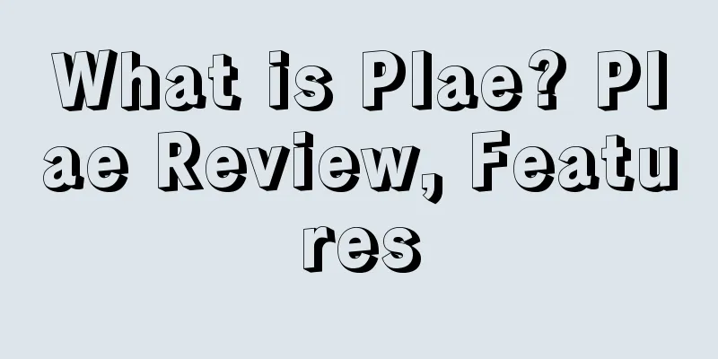 What is Plae? Plae Review, Features