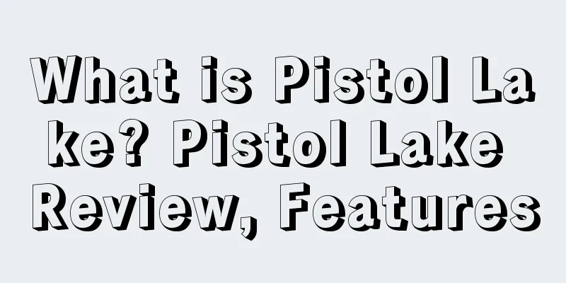 What is Pistol Lake? Pistol Lake Review, Features