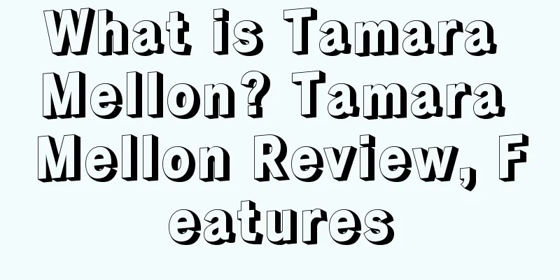 What is Tamara Mellon? Tamara Mellon Review, Features