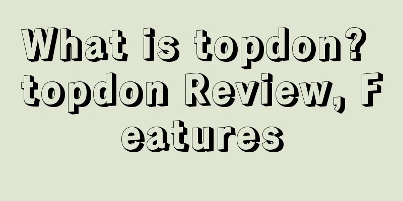 What is topdon? topdon Review, Features