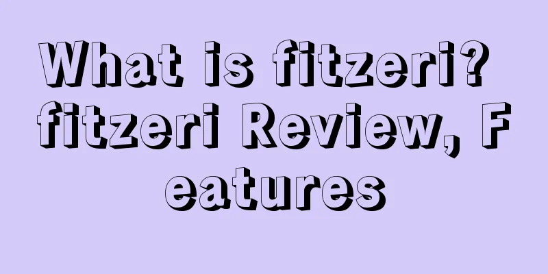 What is fitzeri? fitzeri Review, Features
