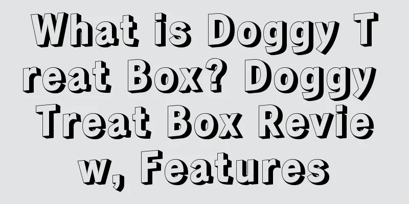 What is Doggy Treat Box? Doggy Treat Box Review, Features