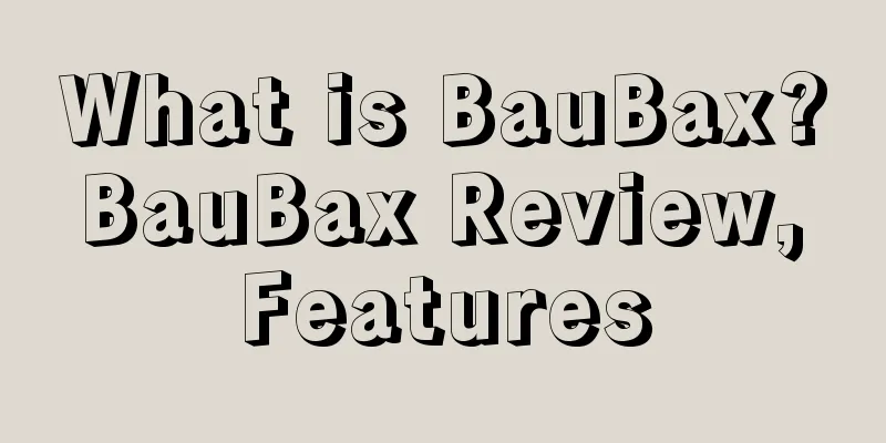 What is BauBax? BauBax Review, Features