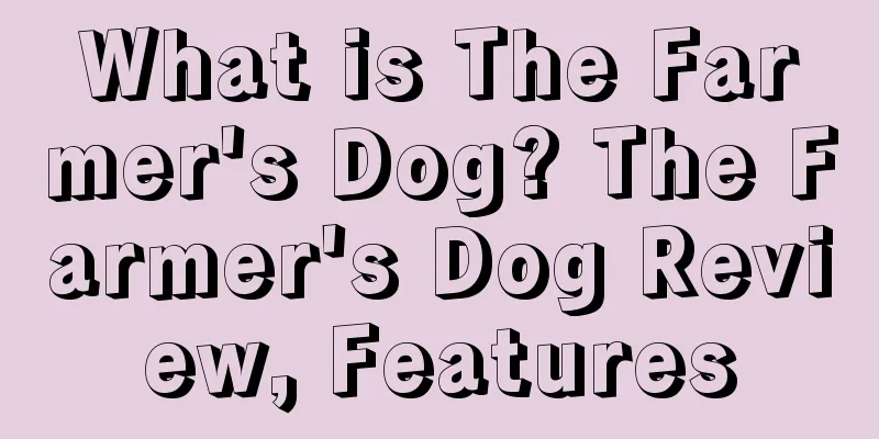 What is The Farmer's Dog? The Farmer's Dog Review, Features