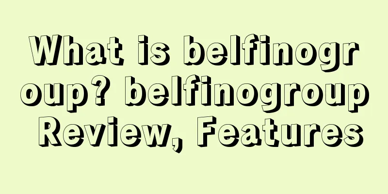 What is belfinogroup? belfinogroup Review, Features