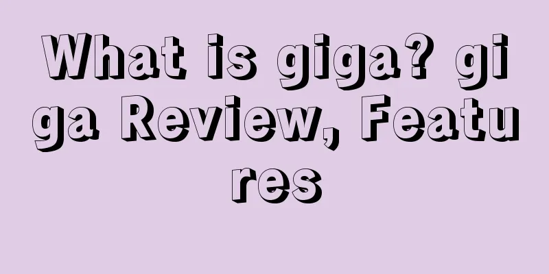 What is giga? giga Review, Features