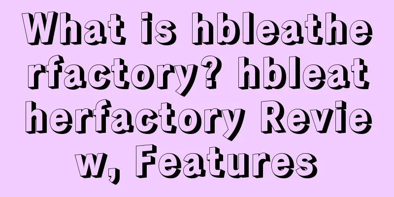 What is hbleatherfactory? hbleatherfactory Review, Features