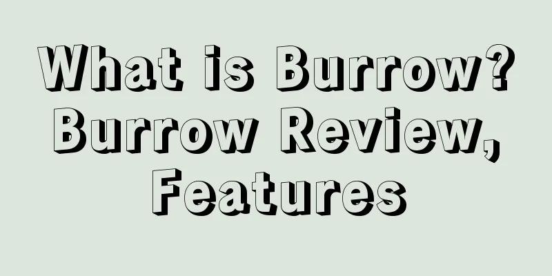What is Burrow? Burrow Review, Features