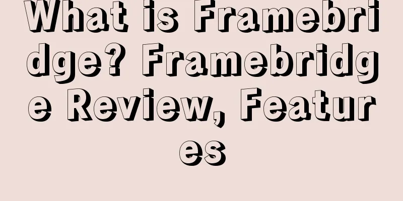 What is Framebridge? Framebridge Review, Features