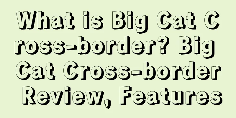 What is Big Cat Cross-border? Big Cat Cross-border Review, Features