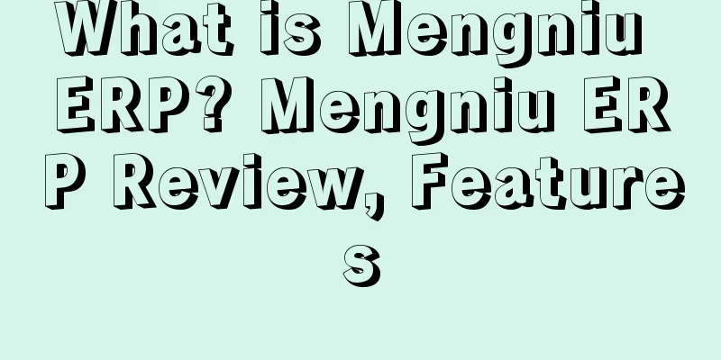 What is Mengniu ERP? Mengniu ERP Review, Features