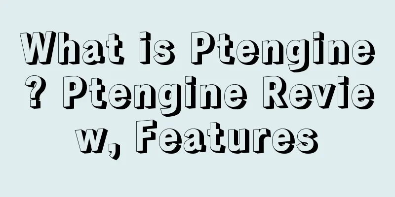 What is Ptengine? Ptengine Review, Features