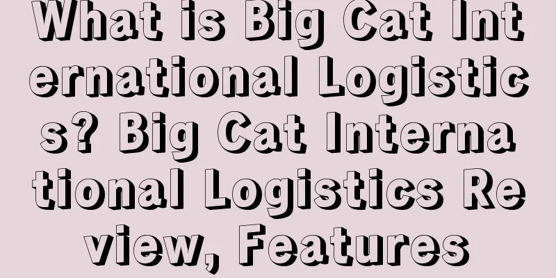 What is Big Cat International Logistics? Big Cat International Logistics Review, Features