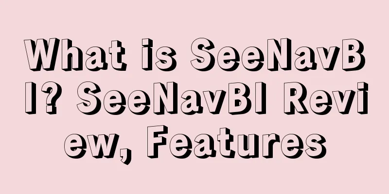 What is SeeNavBI? SeeNavBI Review, Features